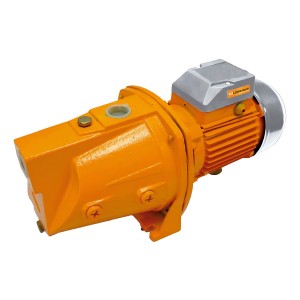 Bomba De Agua Centrífuga 1hp Auto Cebante Lusqtoff Color Naranja Fase Eléctrica Monofásica